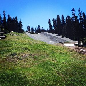 Image post by @whistlerblackcomb on Instagram