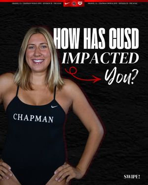 Image post by @chapmanuswimdive on Instagram