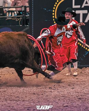 Image post by @ultimatebullfighters on Instagram
