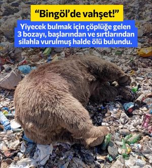 Image post by @artun_yapim on Instagram