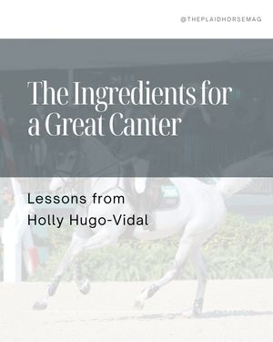 Image post by @theplaidhorsemag on Instagram
