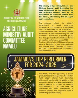 Image post by @jamaicagleaner on Instagram