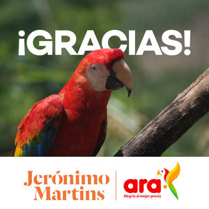 Image post by @fundacionloros on Instagram