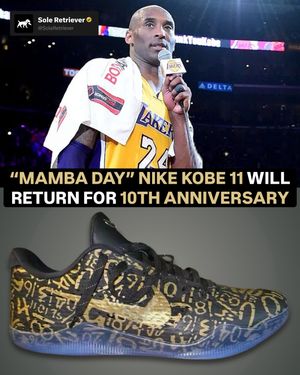 Image post by @soleretriever on Instagram
