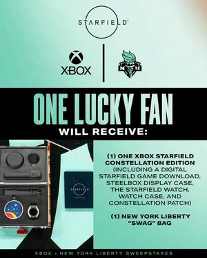 Image post by @nyliberty on Facebook