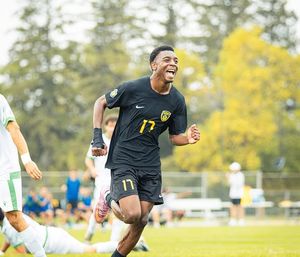 Image post by @bearsandpandas on Instagram