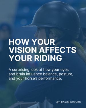 Image post by @theplaidhorsemag on Instagram