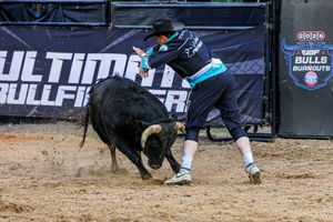 Image post by @ultimatebullfighters on Instagram