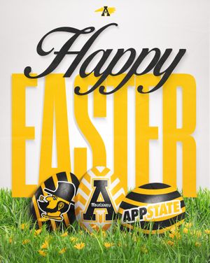Image post by @appstatesports on Instagram