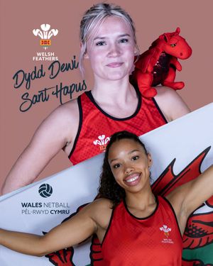 Image post by @walesnetball_ on Instagram