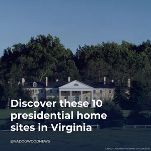 Image post by @vadogwoodnews on Instagram