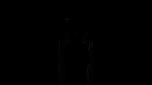 Video post by @dolcegabbana on YouTube