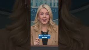 Video post by @kmphfox26 on YouTube
