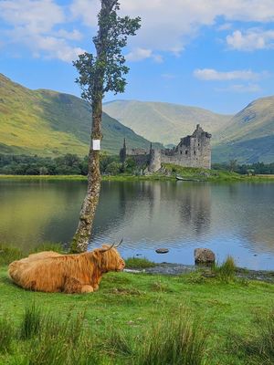 Image post by @visitscotland on Instagram