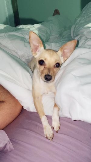 Video post by @oliviamancuso__ on TikTok