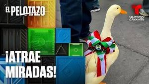 Video post by @deportes on YouTube