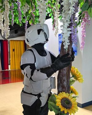 Image post by @official501st on Instagram