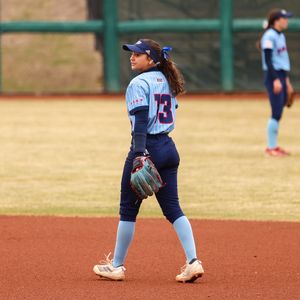 Image post by @uic_softball on Instagram