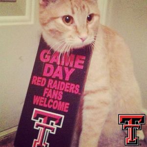 Image post by @texastechathletics on Instagram
