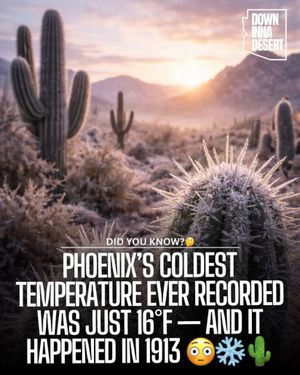 Image post by @downinnadesert on Instagram