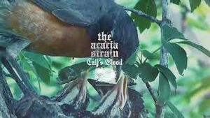 Video post by @riserecords on YouTube