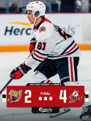 Image post by @ohlicedogs on Instagram