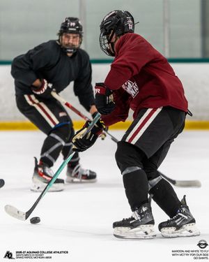 Image post by @aquinasd1hockey on Instagram