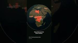 Video post by @nytimes on YouTube