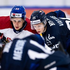 Image post by @leijonatfi on Instagram