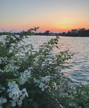 Image post by @kirstenalana on Instagram