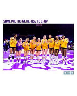 Image post by @lsuvolleyball on Instagram