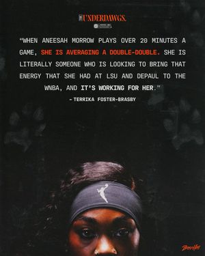 Image post by @ConnecticutSun on Twitter