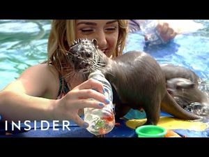 Video post by @insider on YouTube