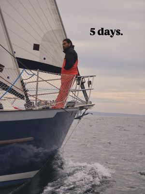 Image post by @sailing_with_phoenix on TikTok