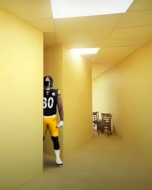 Image post by @steelers on Instagram