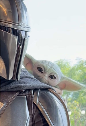 Video post by @imax on TikTok