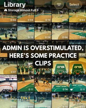 Image post by @lionupmbb on Instagram
