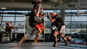 Image post by @ufc on Twitter