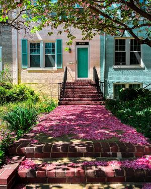 Image post by @georgetownuniversity on Instagram