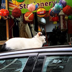 Image post by @sammul.chankinfung on Instagram