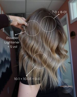 Image post by @dangerjonesbalayage on Instagram