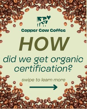 Image post by @coppercowcoffee on Instagram