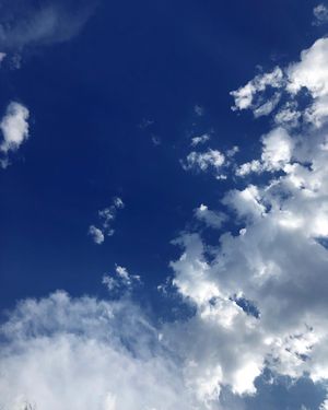 Image post by @carlabenavent17 on Instagram