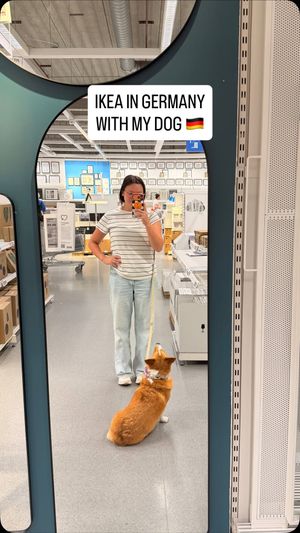 Video post by @ziggythecorg on Facebook