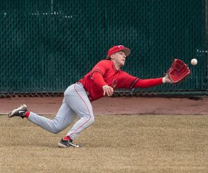 Image post by @isuredbirdbaseball on Instagram