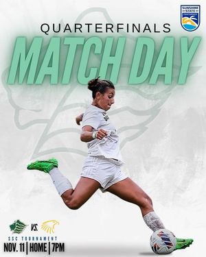 Image post by @saintleowsoc on Instagram