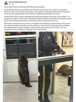 Image post by @cmcalgary on Instagram