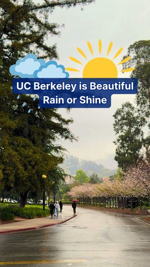Video post by @ucberkeleylife on Instagram