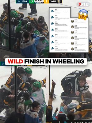 Image post by @flohockey on Instagram