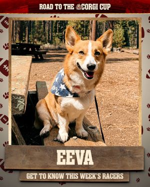 Image post by @levisstadium on Instagram